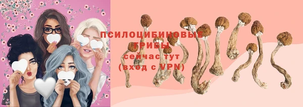 тгк Балахна