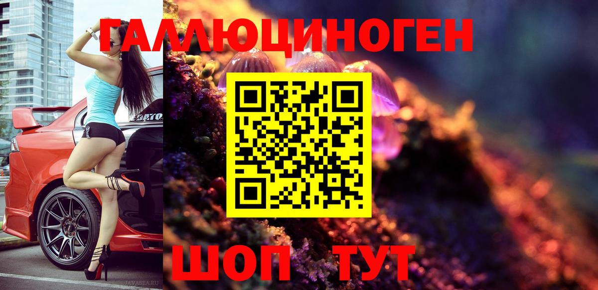 Галлюциногенные грибы Magic Shrooms  купить наркотик  Вязники  Вход с VPN  Псилоцибиновые грибы Psilocybe 